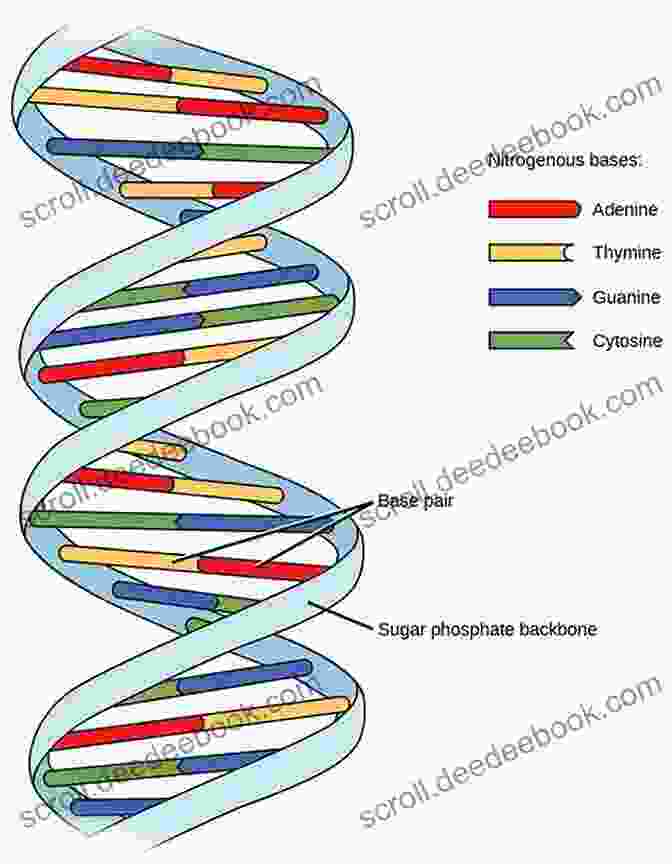 A Double Helix Structure Representing DNA, The Building Blocks Of Genetic Inheritance Ancestry: The Deep Field Of Reality