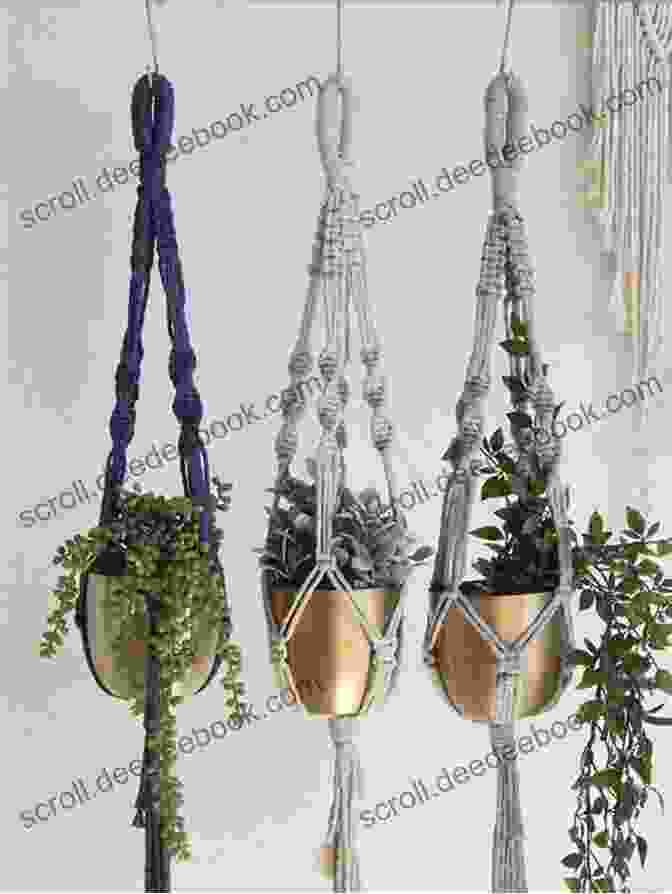 Image Of A Macrame Plant Hanger Beautiful Macrame: Awesome Ways Make Macrame Internally And Externally