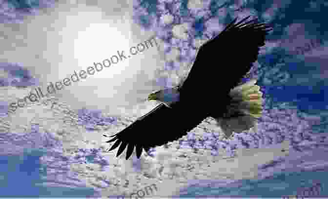 Majestic Eagle Soaring Through The Sky Raptor: A Journey Through Birds