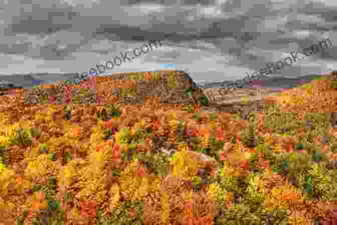 Rolling Hills And Vibrant Fall Foliage In Vermont Love S Travels Vermont Paris Austin (Poetry Shorts)