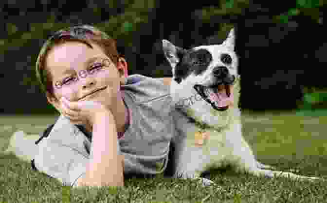 Wolfie Interacting With Other Dogs, Symbolizing His Acceptance And Inclusivity A Puppy Called Wolfie: A Passion For Free Will Teaching