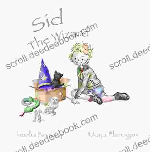 Sid The Wizard (Sid S Adventures 1)