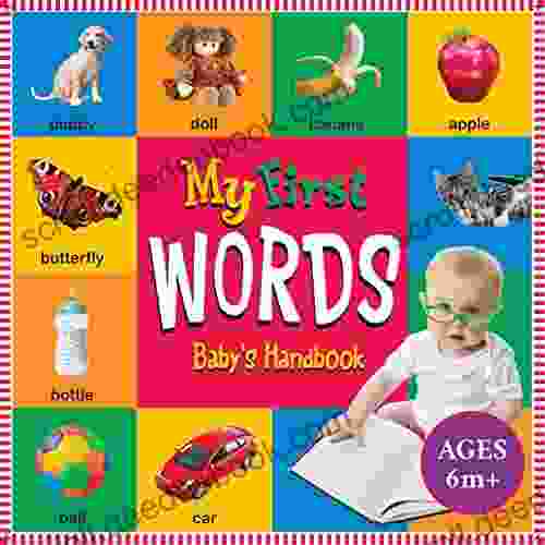 My First Words Book: Baby S First Handbook: New Concept