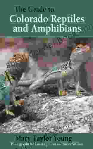 The Guide To Colorado Reptiles And Amphibians