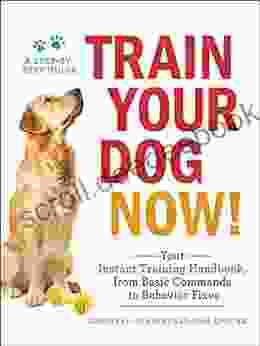 Train Your Dog Now : Your Instant Training Handbook From Basic Commands To Behavior Fixes