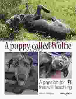 A puppy called Wolfie: A passion for free will teaching